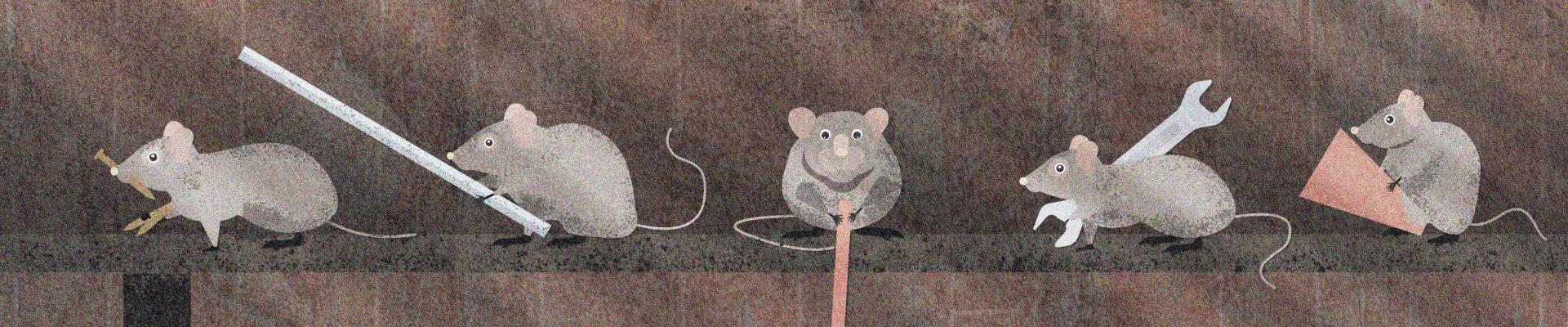 Illustration of a mice in a shed tidying and assorting tools.