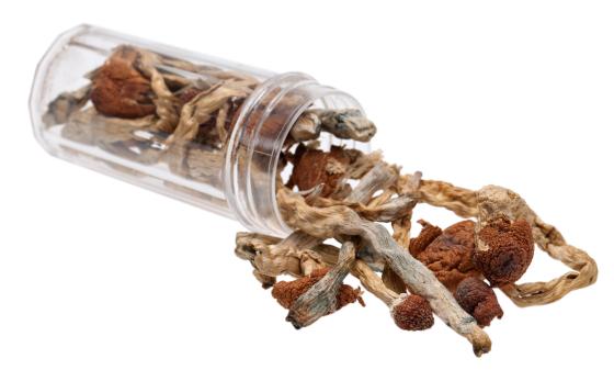 Jar of dried mushrooms laying on white background