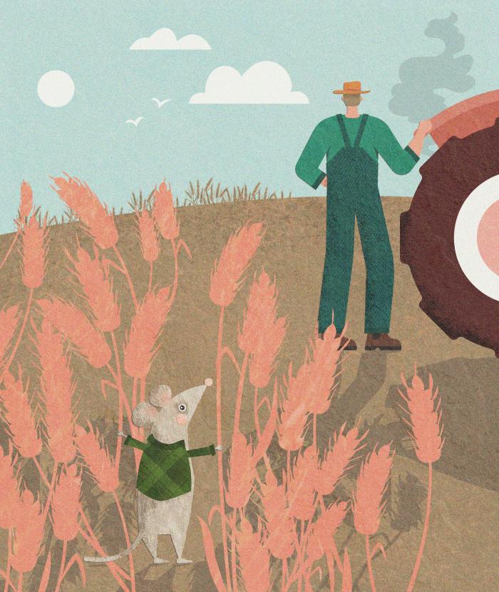 Illustration of a mouse in a wheat field looking at a man and his tractor